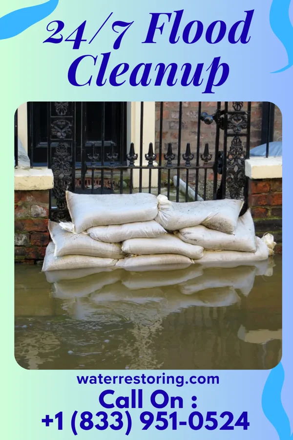 24/7 Flood Cleanup in East Hope, ID